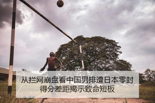 从拦网崩盘看中国男排遭日本零封 得分差距揭示致命短板