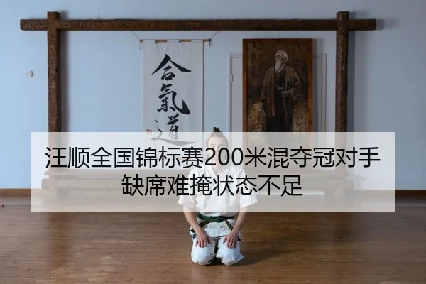 wang-shun-quan-guo-jin-biao-sai-mi-hun-duo-guan-dui-shou-que-xi-nan-yan-zhuang-tai-bu-zu-2-609.jpg